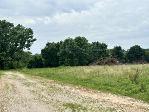 211 Sheridan Rd, Fair Grove, MO 65648 - view of road with a view of trees