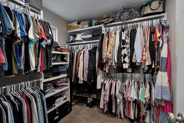 926 E Downshire Dr, Nixa, MO 65714 - spacious closet with carpet floors