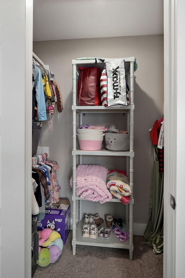 926 E Downshire Dr, Nixa, MO 65714 - spacious closet with carpet flooring