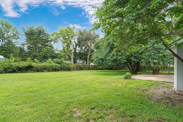 4852 S Fremont Ave, Springfield, MO 65804 - view of grassy yard with a patio