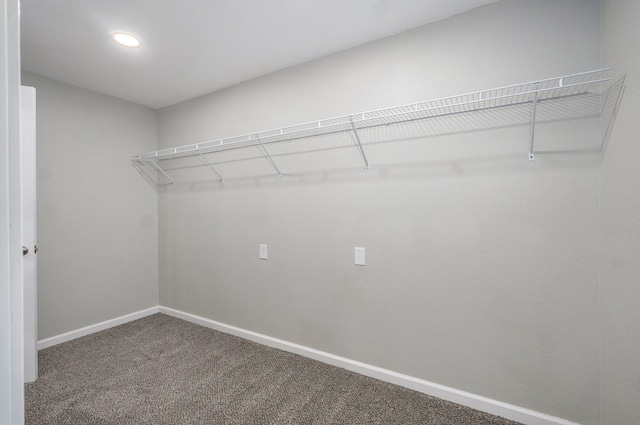 4852 S Fremont Ave, Springfield, MO 65804 - spacious closet featuring carpet floors