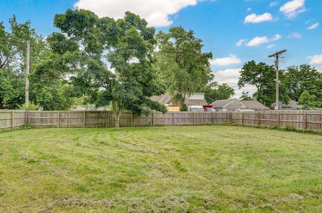 902 S Hickory St, Mount Vernon, MO 65712 - view of fenced backyard