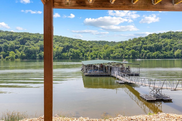 2529 State Highway 176 Unit F2, Rockaway Beach, MO 65740 - dock area featuring a view of trees and a water view