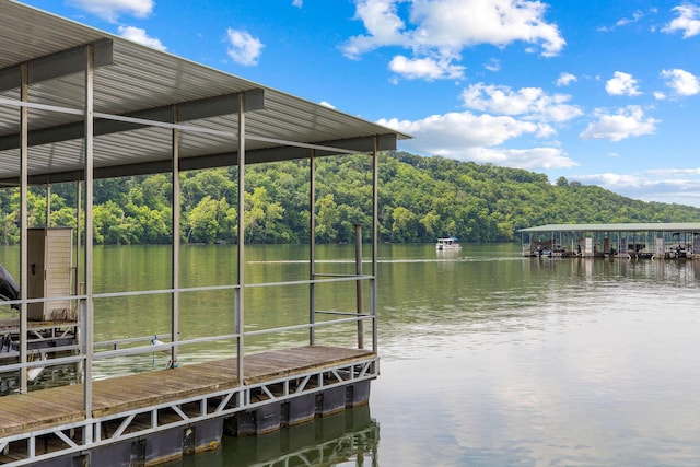 2529 State Highway 176 Unit F2, Rockaway Beach, MO 65740 - dock with a water view and a forest view