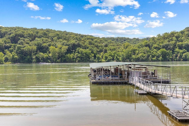 2529 State Highway 176 Unit F2, Rockaway Beach, MO 65740 - dock area featuring a forest view and a water view
