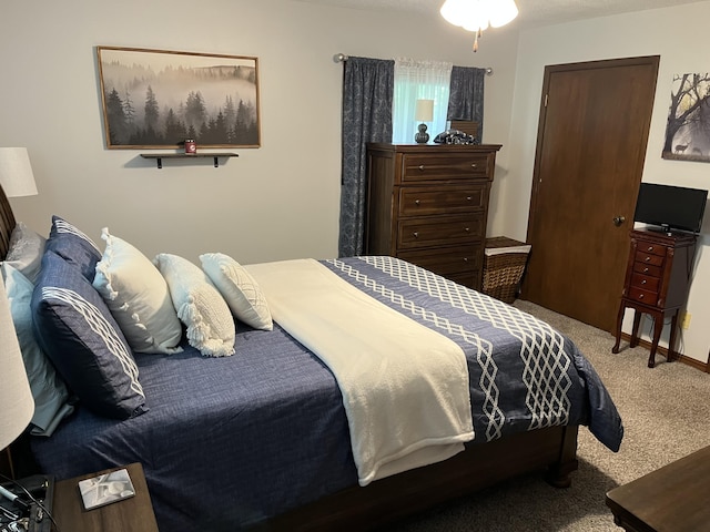 508 E Kirkwood Dr, Aurora, MO 65605 - view of carpeted bedroom