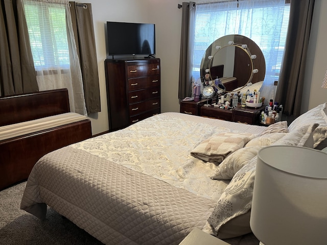 508 E Kirkwood Dr, Aurora, MO 65605 - bedroom featuring multiple windows and carpet flooring