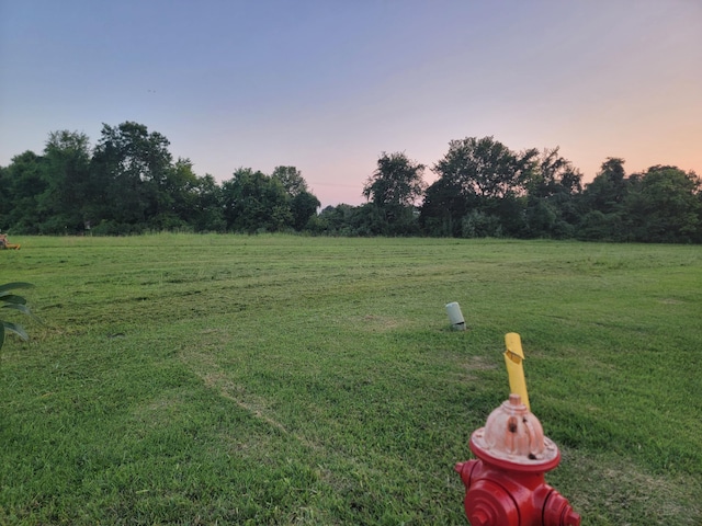 83 Holly Ridge Rd, Willard, MO 65781