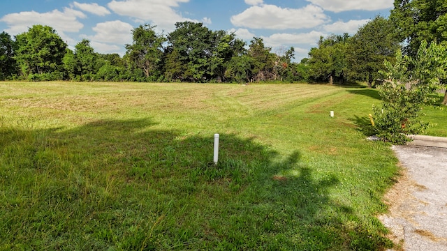 83 Holly Ridge Rd, Willard, MO 65781