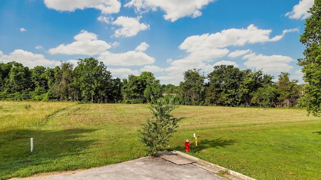 83 Holly Ridge Rd, Willard, MO 65781
