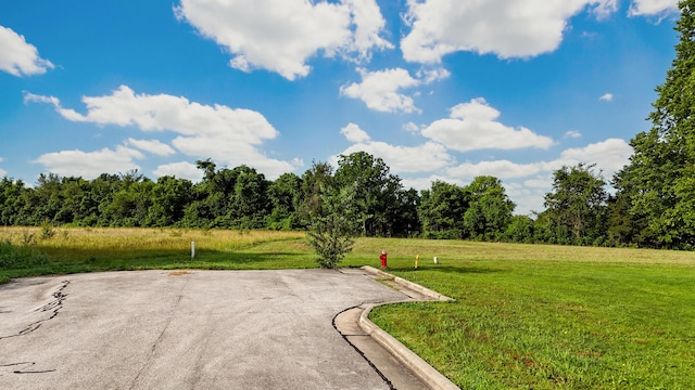 83 Holly Ridge Rd, Willard, MO 65781