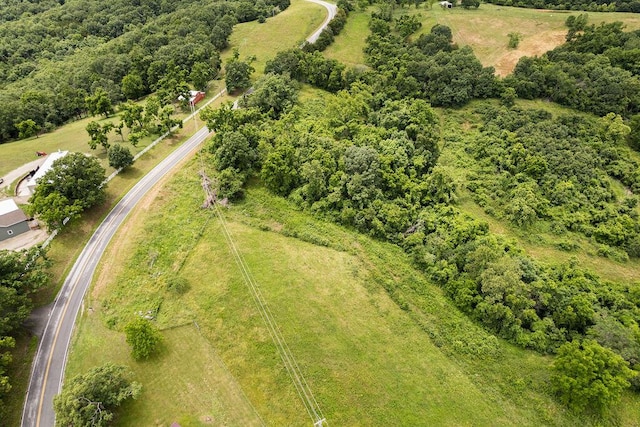 10565 W State Highway 76, Cape Fair, MO 65624 - photo 54