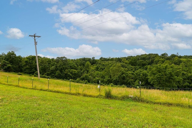 10565 W State Highway 76, Cape Fair, MO 65624 - photo 39