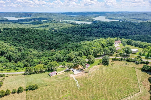 10565 W State Highway 76, Cape Fair, MO 65624 - photo 10