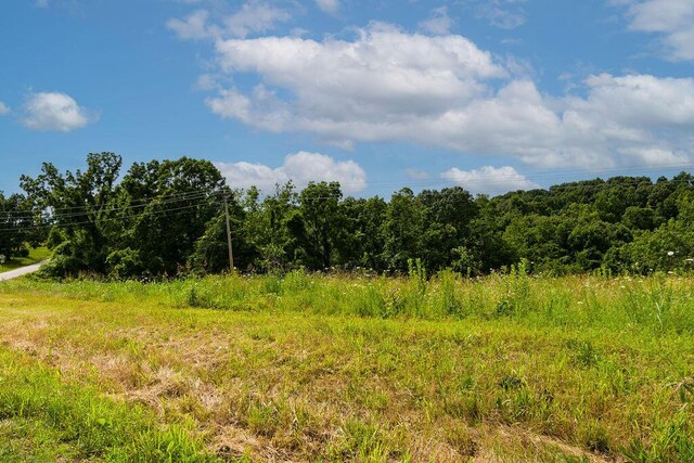 10565 W State Highway 76, Cape Fair, MO 65624 - photo 42