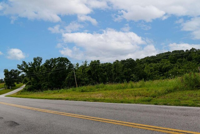 10565 W State Highway 76, Cape Fair, MO 65624 - photo 48