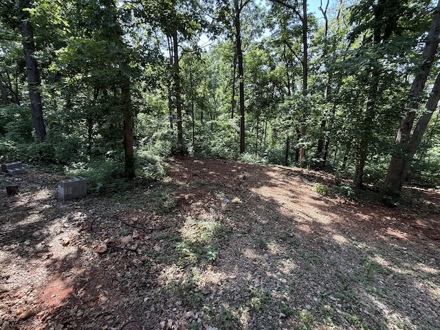 5641 State Highway K, Pineville, MO 64856 - view of local wilderness