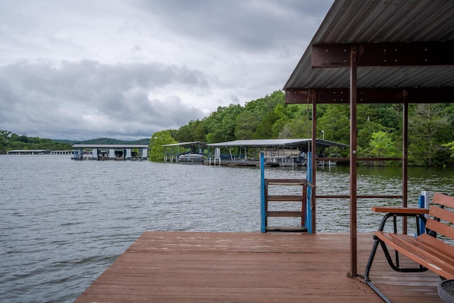 781 Santana Cir, Reeds Spring, MO 65737 - dock area with a water view