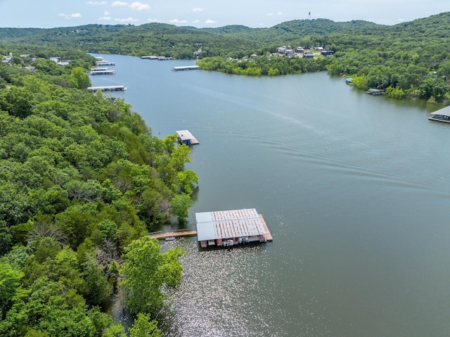 781 Santana Cir, Reeds Spring, MO 65737 - bird's eye view of a nearby body of water