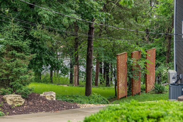 781 Santana Cir, Reeds Spring, MO 65737 - view of yard