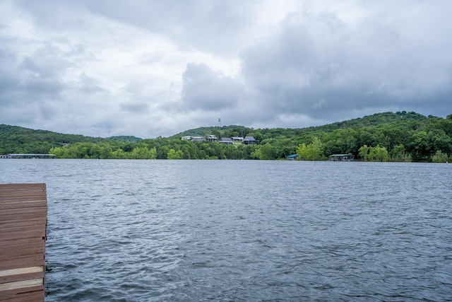 781 Santana Cir, Reeds Spring, MO 65737 - water view featuring a forest and a dock