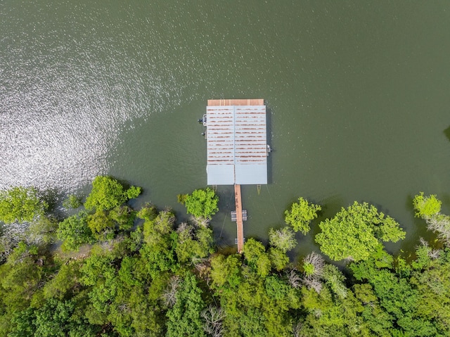 781 Santana Cir, Reeds Spring, MO 65737 - bird's eye view of a nearby body of water