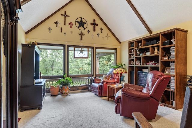 781 Santana Cir, Reeds Spring, MO 65737 - living area featuring high vaulted ceiling, carpet, and beamed ceiling