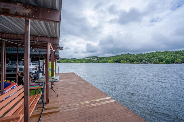 781 Santana Cir, Reeds Spring, MO 65737 - dock featuring a water view and a view of trees