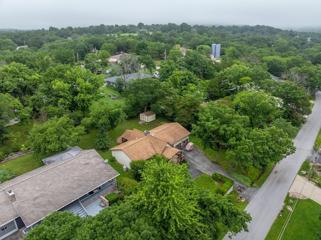 781 Santana Cir, Reeds Spring, MO 65737 - bird's eye view