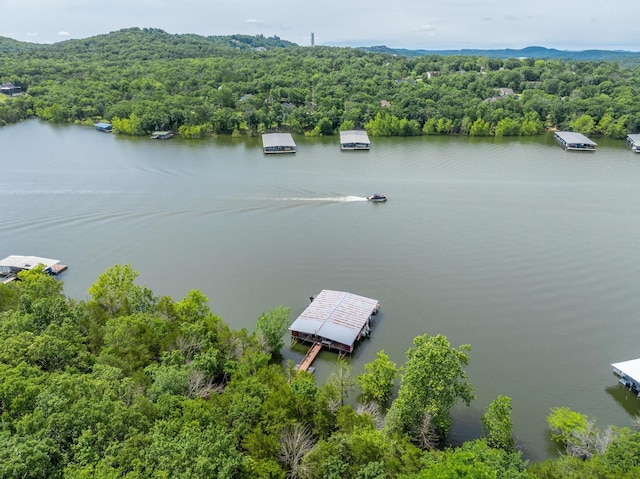 781 Santana Cir, Reeds Spring, MO 65737 - aerial view of a forest and a large body of water