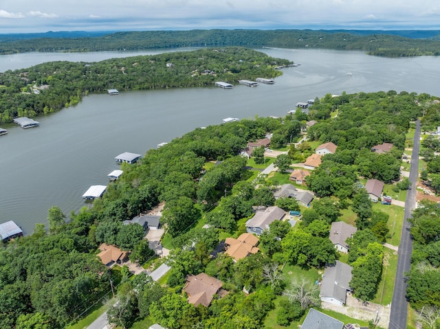 781 Santana Cir, Reeds Spring, MO 65737 - aerial view of residential area featuring a nearby body of water and a forest