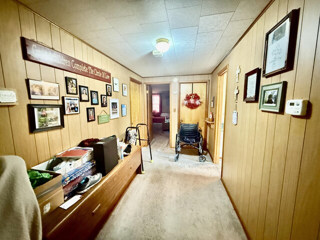 1128 E Crest Dr, Houston, MO 65483 - corridor with wood walls and carpet