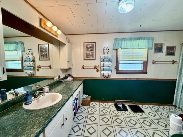 1128 E Crest Dr, Houston, MO 65483 - bathroom with plenty of natural light and vanity