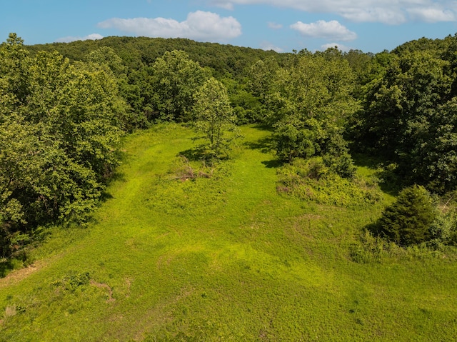 0 Eisenhower Rd, Lebanon, MO 65536
