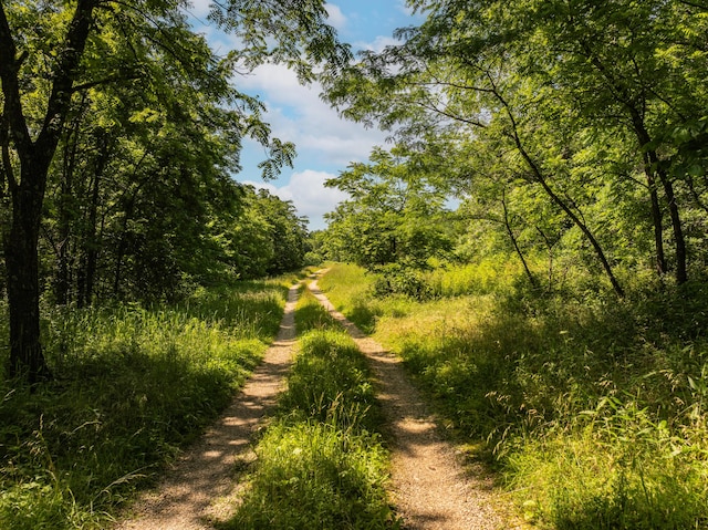 0 Eisenhower Rd, Lebanon, MO 65536