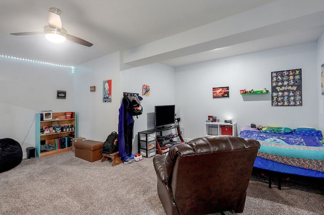 1611 E Hayloft Dr, Ozark, MO 65721 - living room with carpet floors and ceiling fan