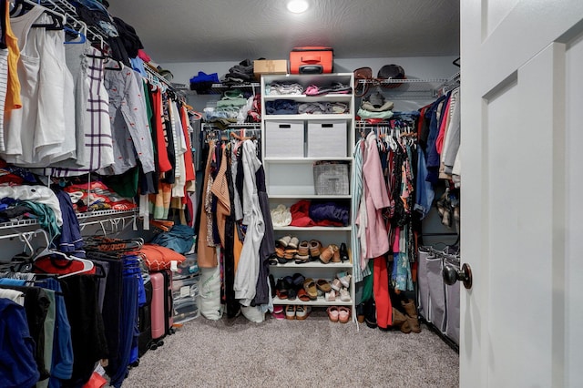 1611 E Hayloft Dr, Ozark, MO 65721 - walk in closet with carpet