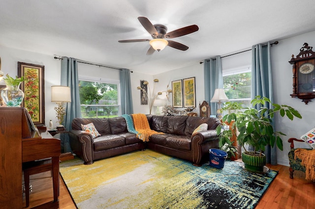 223 E Mill St, Republic, MO 65738 - living room with ceiling fan and hardwood / wood-style floors