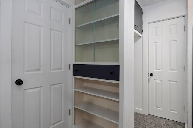 1317 S Willow Ave, Springfield, MO 65804 - view of closet