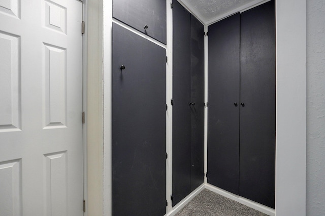 1317 S Willow Ave, Springfield, MO 65804 - hall with carpet flooring