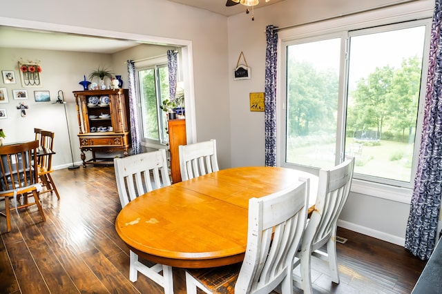 343 N Wood Ln, Fair Grove, MO 65648 - dining space featuring wood finished floors and a ceiling fan