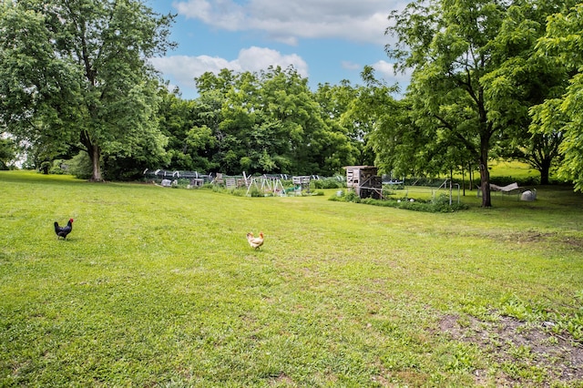 343 N Wood Ln, Fair Grove, MO 65648 - view of green lawn featuring view of wooded area