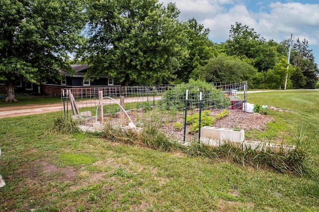 343 N Wood Ln, Fair Grove, MO 65648 - view of yard featuring a vegetable garden