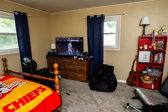 343 N Wood Ln, Fair Grove, MO 65648 - view of carpeted bedroom