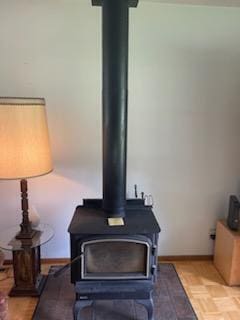 177 Marla Cir, Ozark, MO 65721 - detailed view of a wood stove