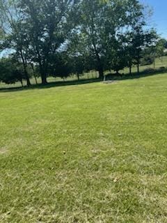 177 Marla Cir, Ozark, MO 65721 - view of grassy yard