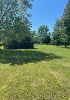 177 Marla Cir, Ozark, MO 65721 - view of green lawn