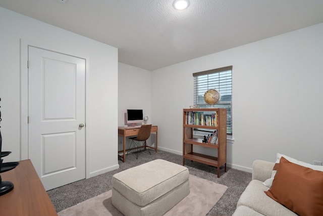 842 E Acacia Ln, Nixa, MO 65714 - office space with carpet flooring