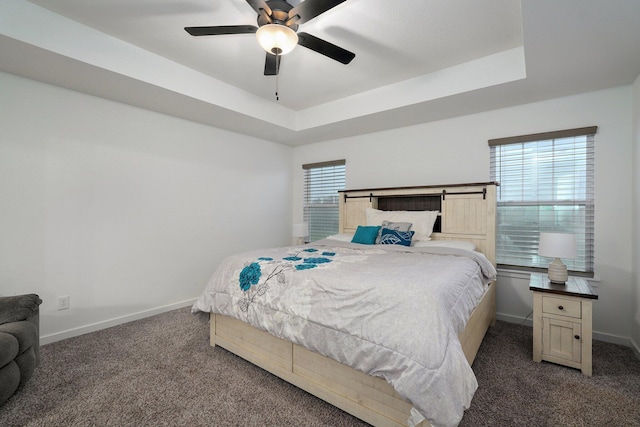 842 E Acacia Ln, Nixa, MO 65714 - bedroom featuring carpet, a tray ceiling, and a ceiling fan