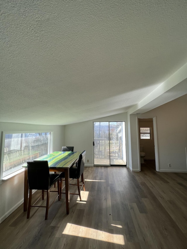 410 Tablerock Cir, Branson, MO 65616 - dining area with plenty of natural light, dark wood finished floors, and a textured ceiling